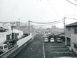 Today's Photo