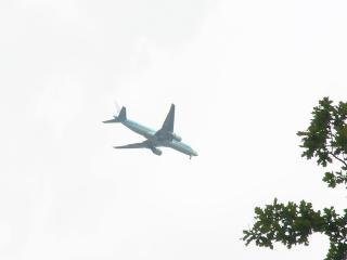 オランダ５人旅「甥っ子、はじめての飛行機」