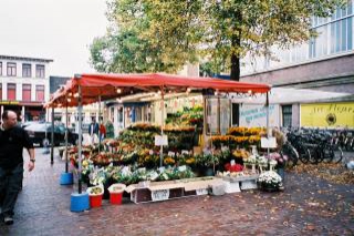 Bloem winkel