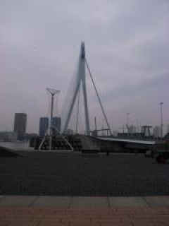 Erasmusbrug